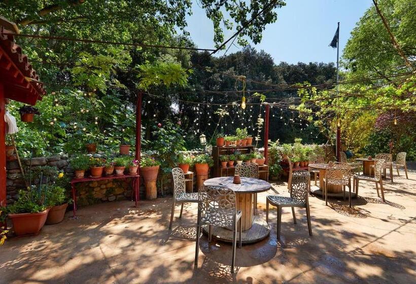 اتاق استاندارد, B&b Mas Torrencito Pet Friendly