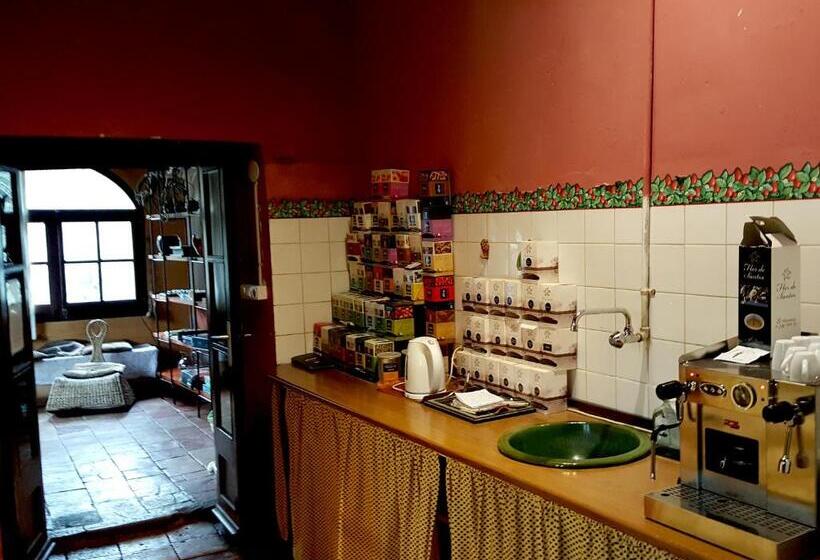 اتاق استاندارد با تراس, B&b Mas Torrencito Pet Friendly