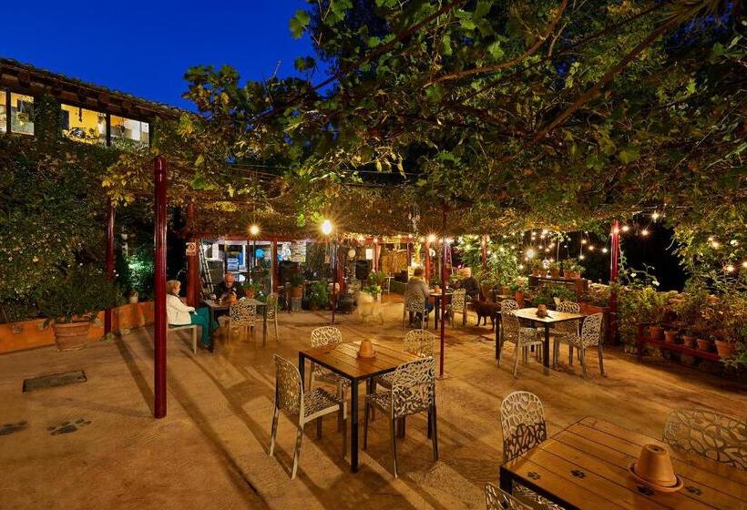 اتاق استاندارد با تراس, B&b Mas Torrencito Pet Friendly