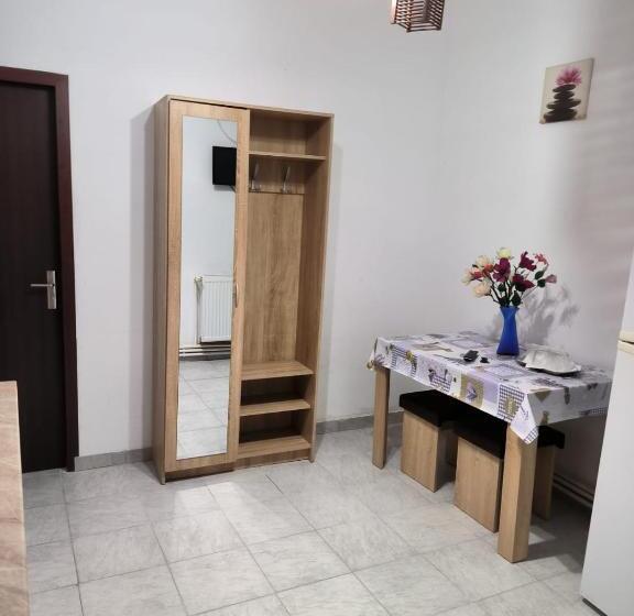 Апартаменты 1 Спальня, Vila Gherghisan