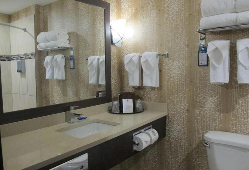 Стандартный Номер Кровать Кинг, Best Western Plus Kindersley