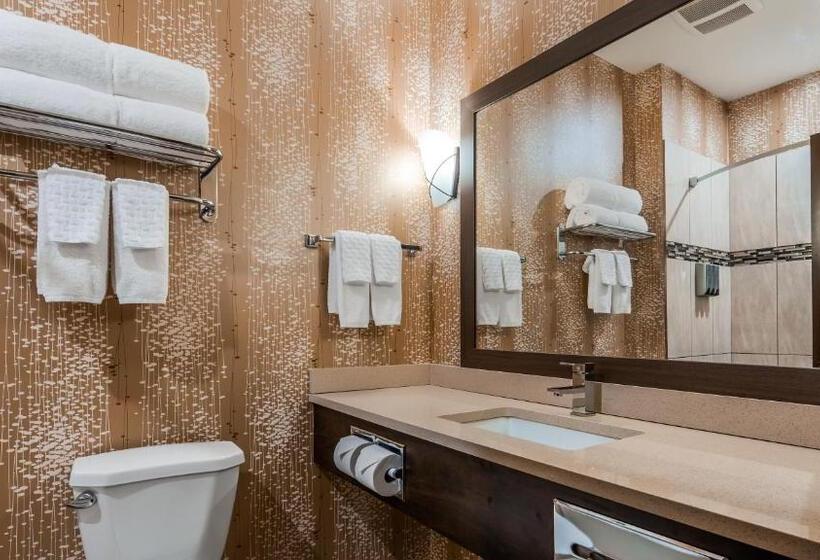Quarto Estandar Cama King para Deficientes Físicos, Best Western Plus Kindersley