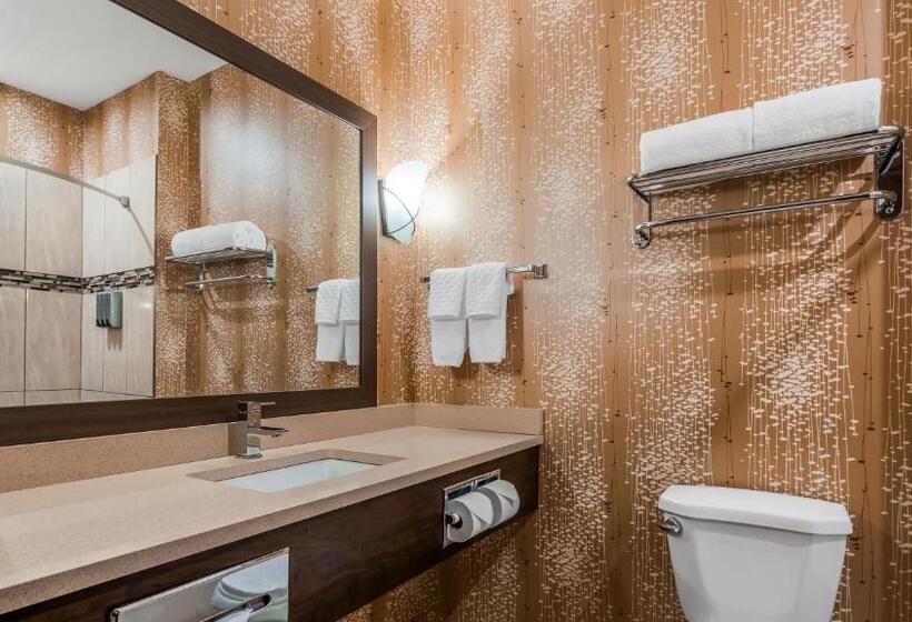 Номер Deluxe Адаптированный для Инвалидов, Best Western Plus Kindersley