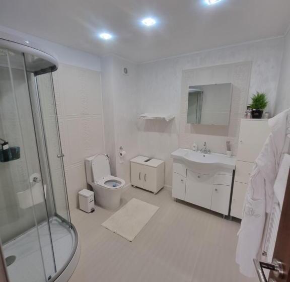 اتاق استاندارد با تخت بزرگ, Casa Petcu