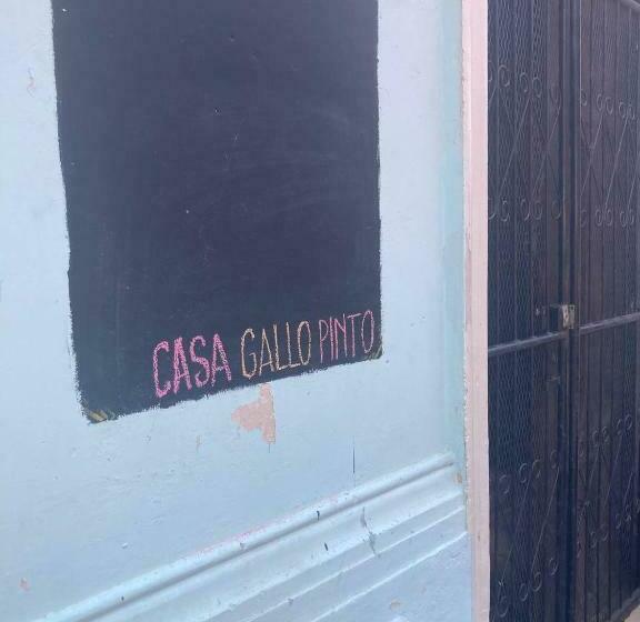 اتاق لوکس, Casa Gallo Pinto