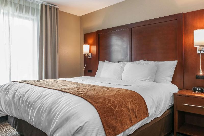 Стандартный Номер Кровать Кинг, Comfort Suites Rensselaer Near Fair Oaks