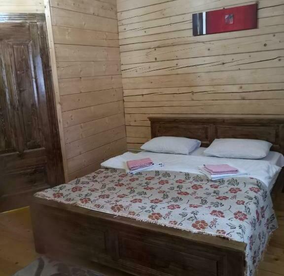 Номер Стандарт, дан