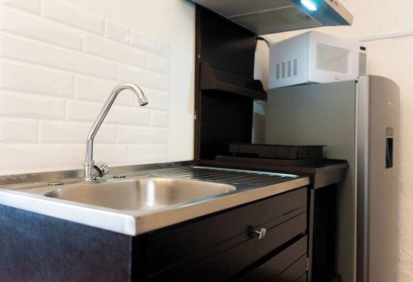 デラックスルーム, Suites Apodaca