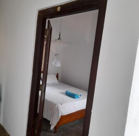 Quarto Basic, Shoba Traveller S Tree