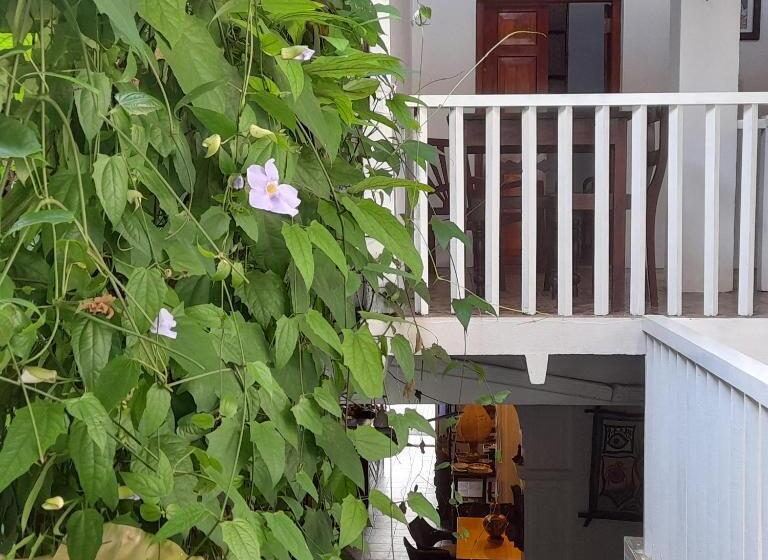 Quarto Estandar, Shoba Traveller S Tree