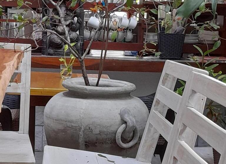 Quarto Triplo Estandar, Shoba Traveller S Tree