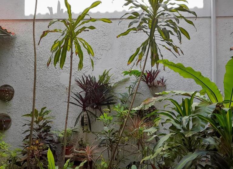 Quarto Estandar, Shoba Traveller S Tree