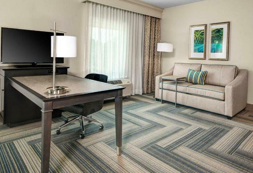 스탠다드 스튜디오 킹침대, Hampton Inn & Suites By Hilton Atlanta Perimeter Dunwoody