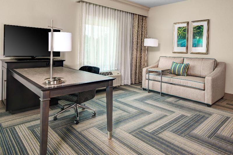 스탠다드 룸 킹사이즈 침대, Hampton Inn & Suites By Hilton Atlanta Perimeter Dunwoody