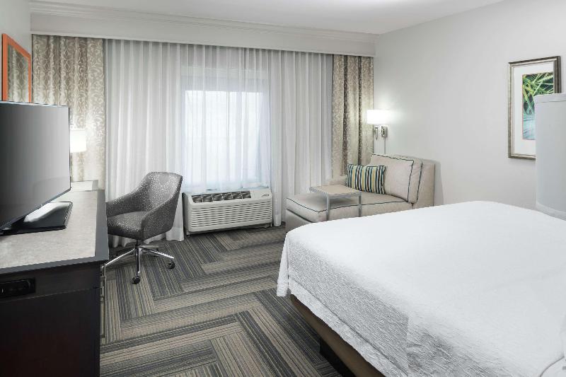 스탠다드 룸 킹사이즈 침대, Hampton Inn & Suites By Hilton Atlanta Perimeter Dunwoody