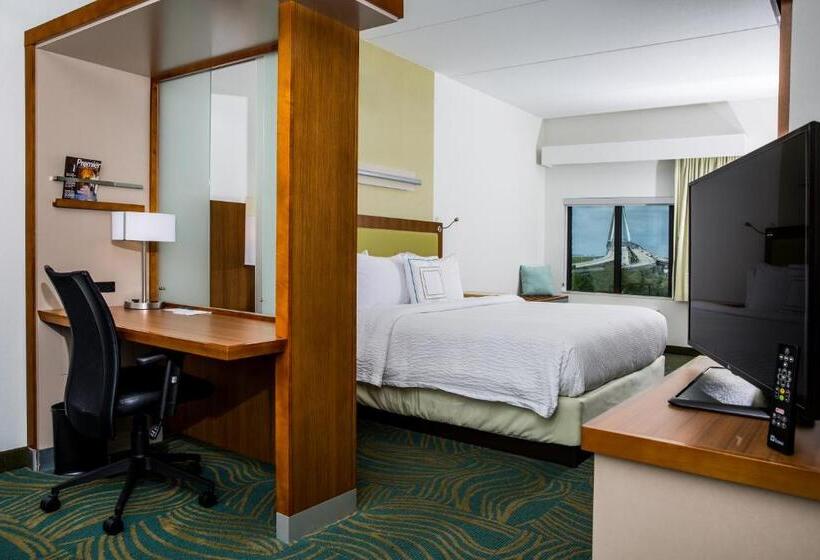 キングサイズベッドのスイートルーム, Springhill Suites By Marriott Charleston Mount Pleasant