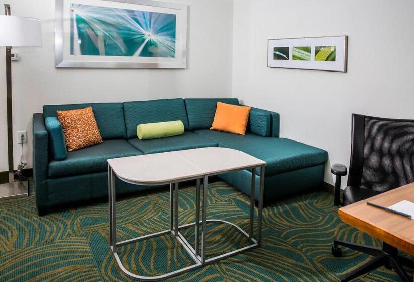 Люкс, Springhill Suites By Marriott Charleston Mount Pleasant