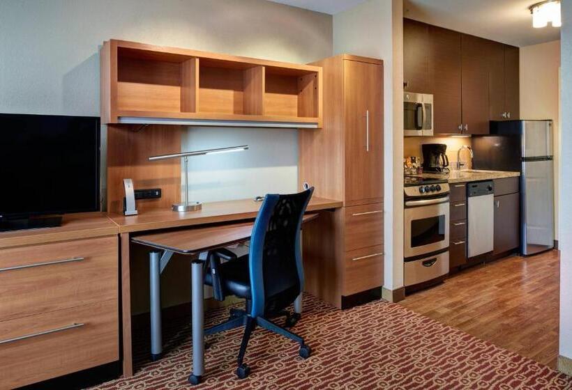 Люкс Вид на Город, Towneplace Suites By Marriott Detroit Troy