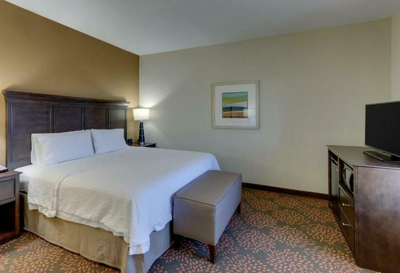 Номер Стандарт Кровать Кинг Адаптированный для Инвалидов, Hampton Inn & Suites Hartsville