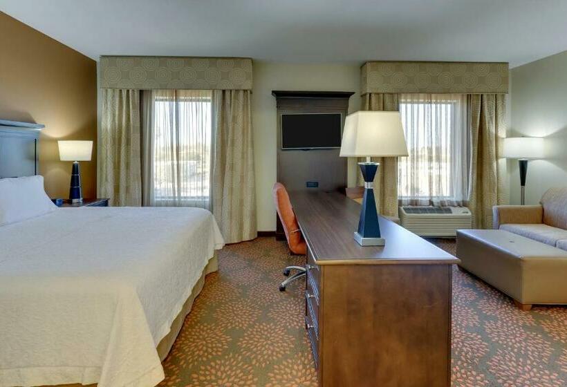 Студио Стандарт Кровать Кинг, Hampton Inn & Suites Hartsville