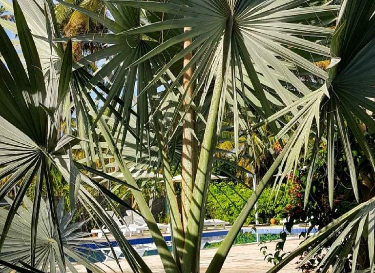 بانگلوی استاندارد, Pousada Villages Boutique Hotel   150m Da Praia Da Laje