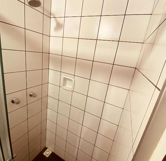 Quarto Estandar, Somensi