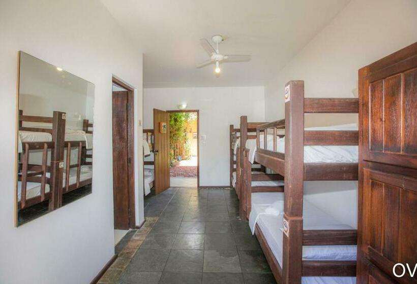 Кровать в Общей Комнате, Praia Do Forte Hostel