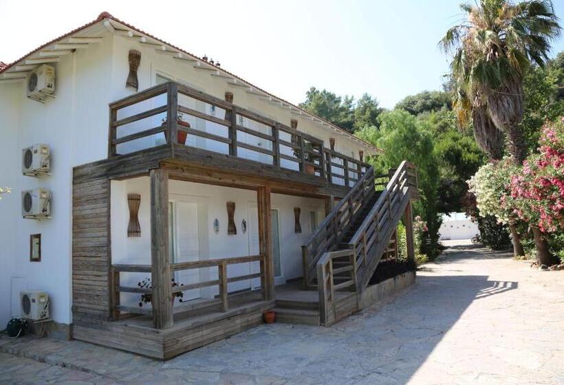 اتاق لوکس چهار تخته, Golden Key Hisaronu