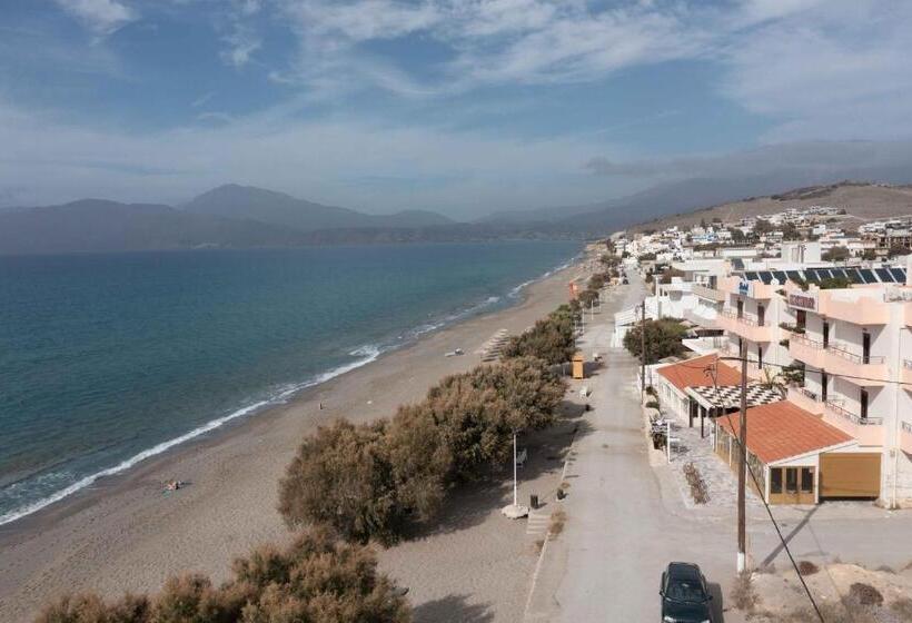 4인용 스탠다드 룸, Alexander Beach