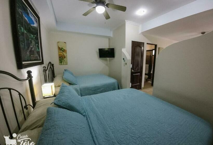 스탠다드 스튜디오, Casas Del Toro Playa Flamingo