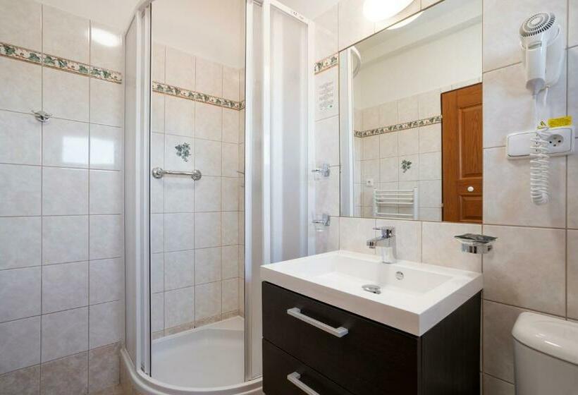 חדר סטנדרט עם מרפסת, Penzion Balcony