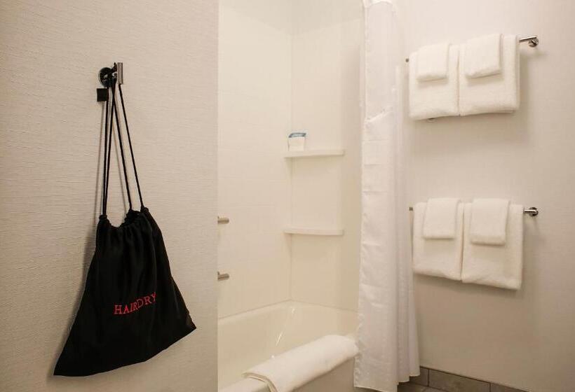 Camera Standard Accessibile ai Disabili, Holiday Inn Express   Evansville, An Ihg