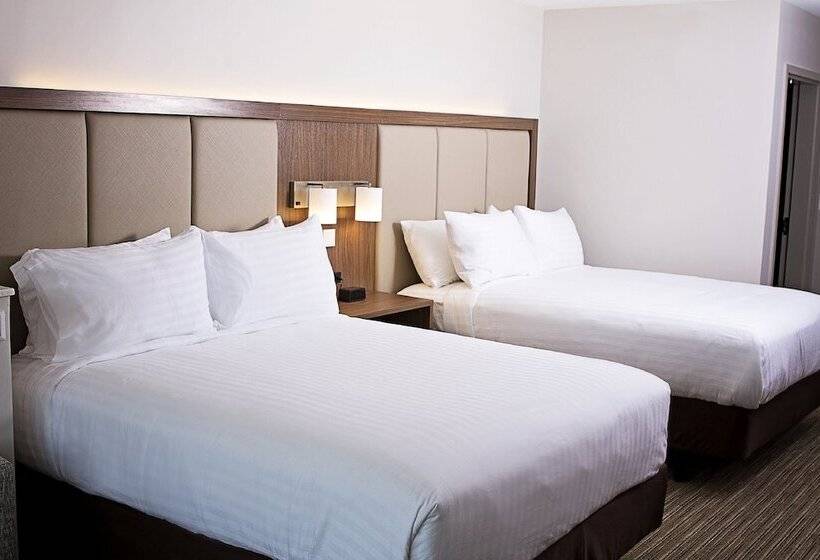 Люкс Адаптированный для Инвалидов, Holiday Inn Express & Suites Greenwood Mall, An Ihg