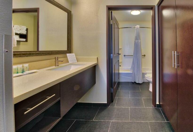 带大床的套房, Staybridge Suites Lubbock South, An Ihg