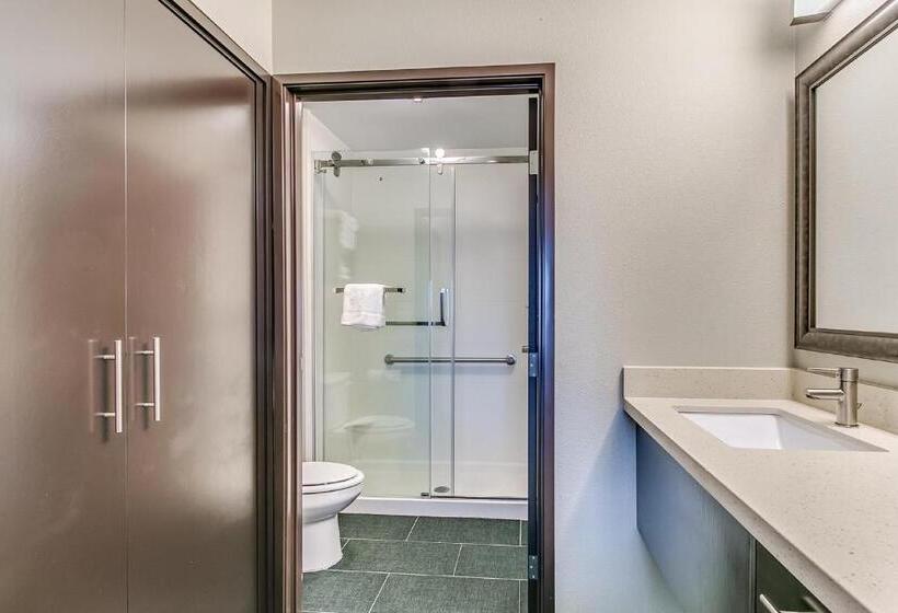 适合残疾人士使用的套间, Staybridge Suites Lubbock South, An Ihg