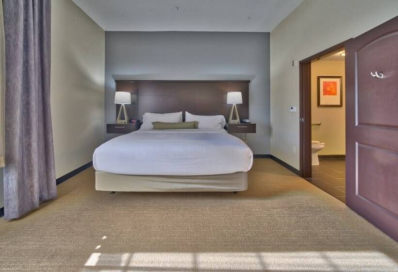 适合残疾人士使用的套间, Staybridge Suites Lubbock South, An Ihg