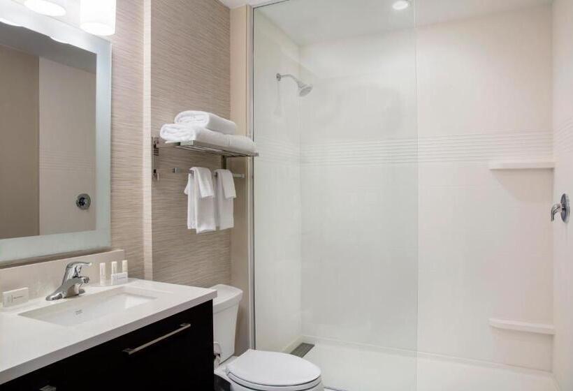 Студио Стандарт Кровать Кинг, Towneplace Suites By Marriott Miami Homestead