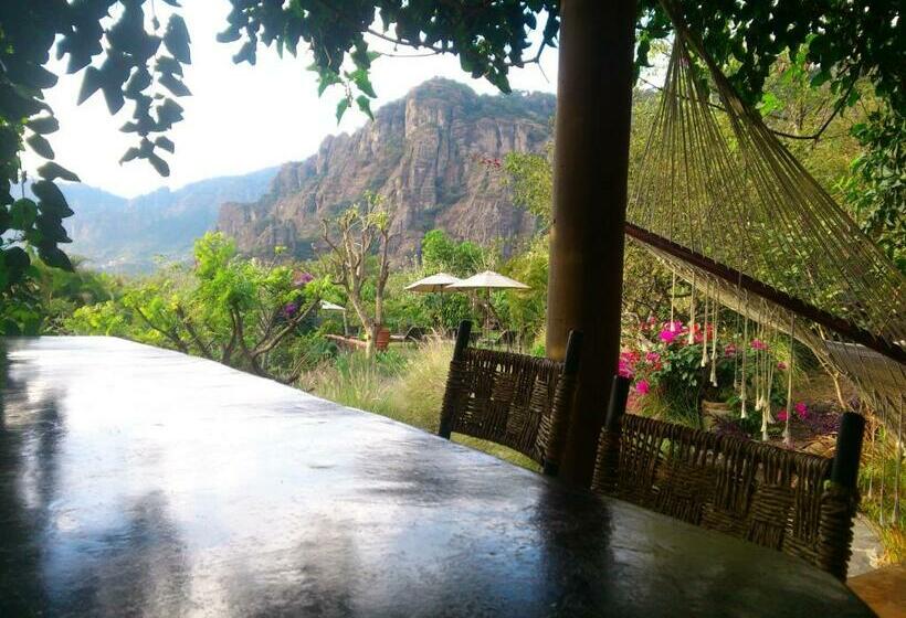 جناح, Valle Místico