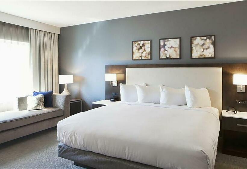 חדר סטנדרט עם מיטת קינג, Hilton Garden Inn Minneapolis University Area