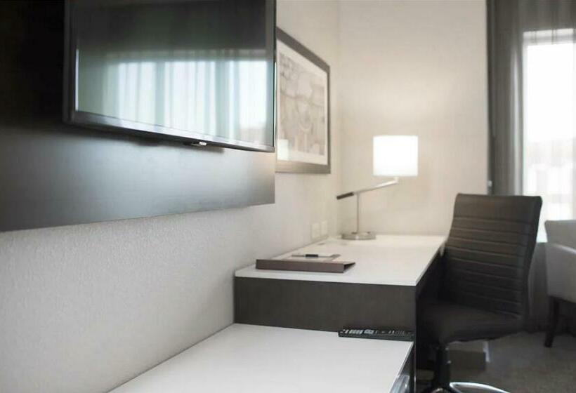 스탠다드 룸 킹사이즈 침대, Hilton Garden Inn Minneapolis University Area