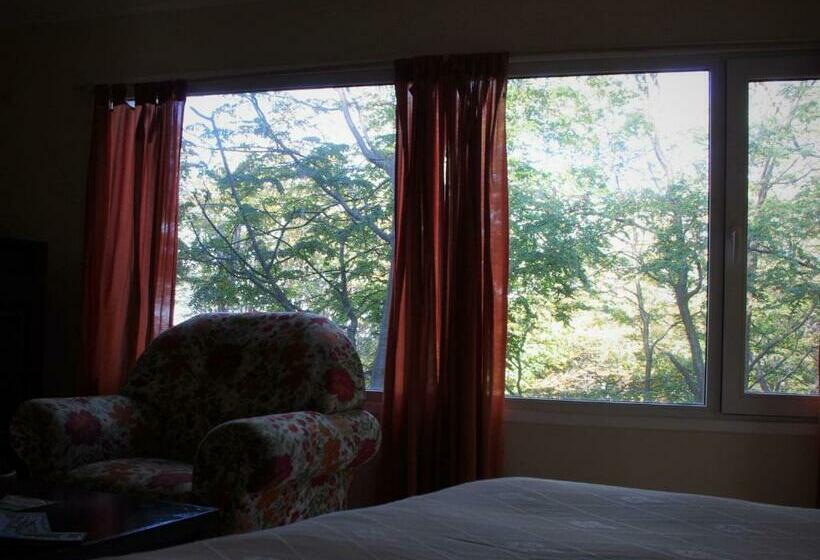 주니어 스위트, Familia Piatti B&b   Suites