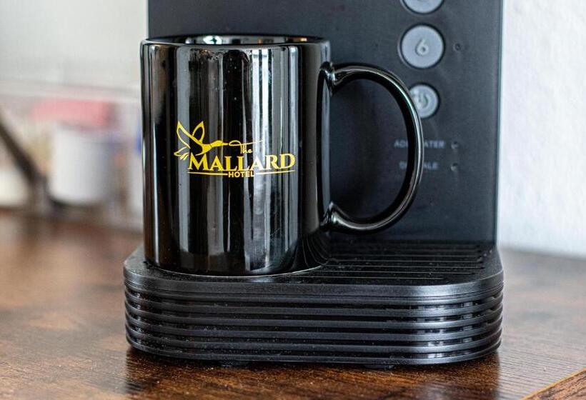 带大床的套房, The Mallard Hotel & Suites