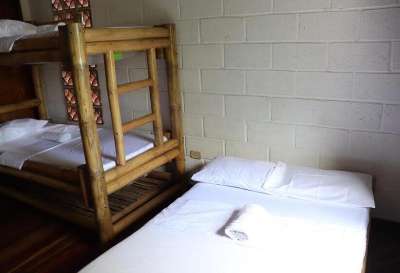 공동 객실, Afro Hostel