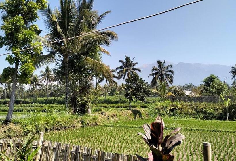 Номер Стандарт, Sunset Point Kembang Kuning