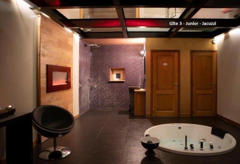 Номер Стандарт с Гидромассажем, Suite Wellness