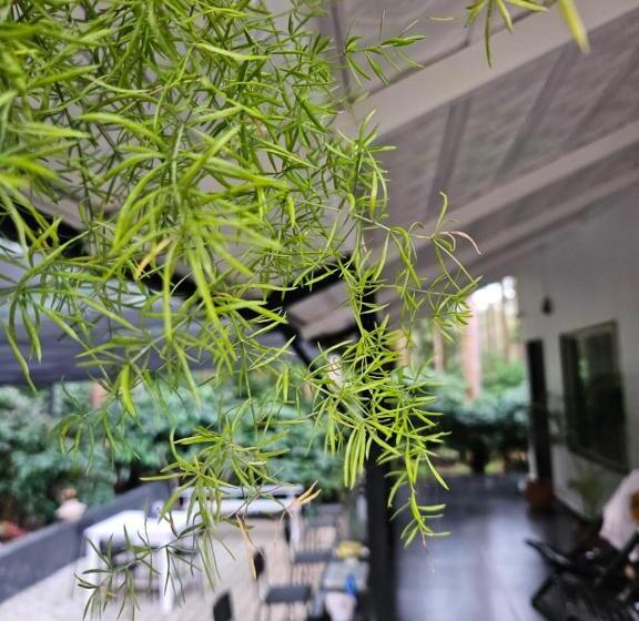 高级大房间, Benomadic Eco Hostel, Madikeri, Coorg