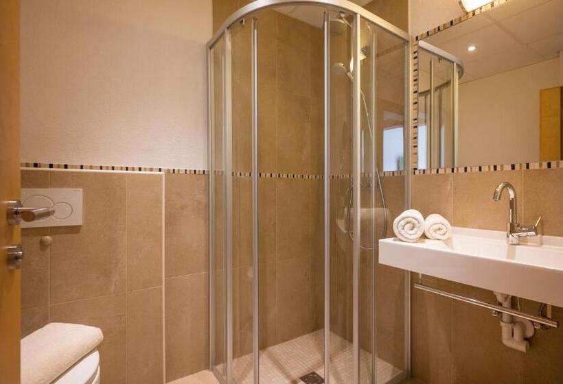 Номер Superior, Alpenhof Hotel Garni Suprême