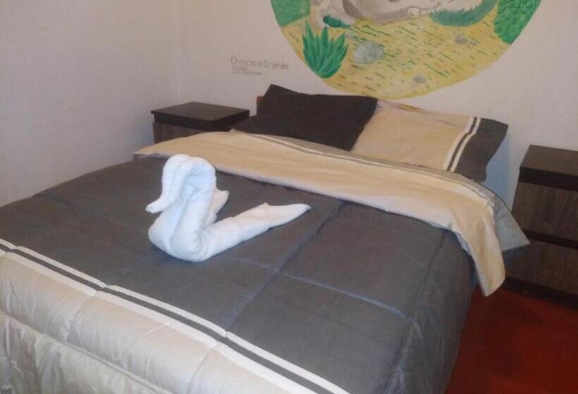 غرفة قياسية, Hostal Casona San Pedro