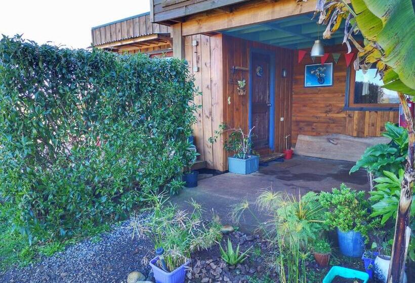 Семейный Номер, Ecolodge Lanalhue Hostel