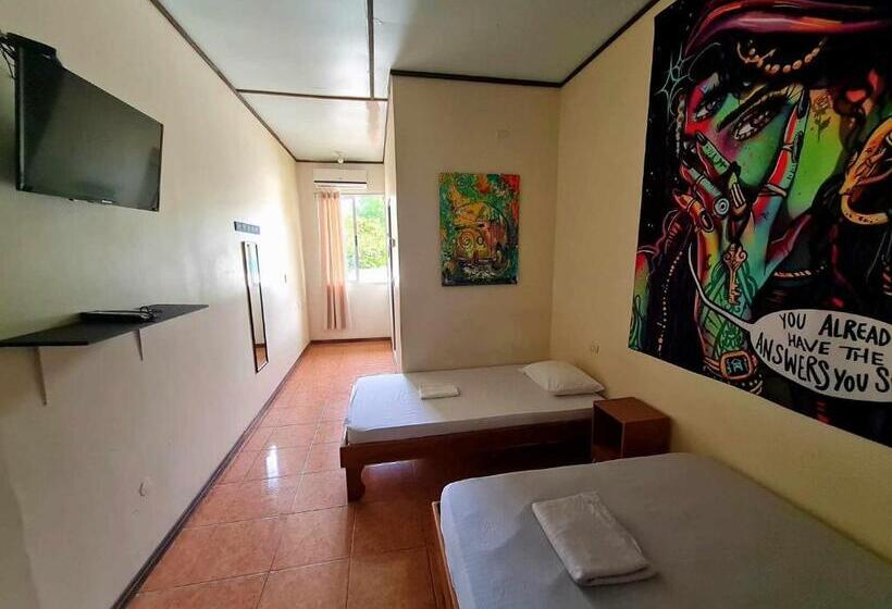 Номер Стандарт Трехместный, Slow Monkey Hostel